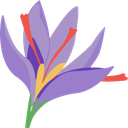 Pourquoi le Safran Bio Belge Vaut 35€/g – Qualité & Vérité 2025